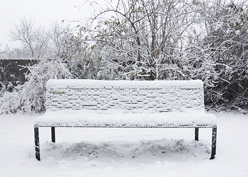 bench in the snow