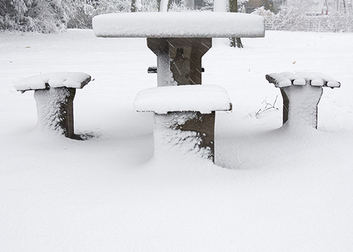 snow in a park